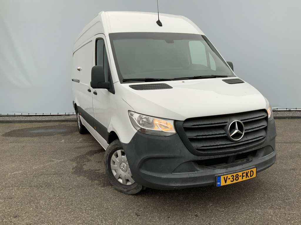 41263233-7.jpg