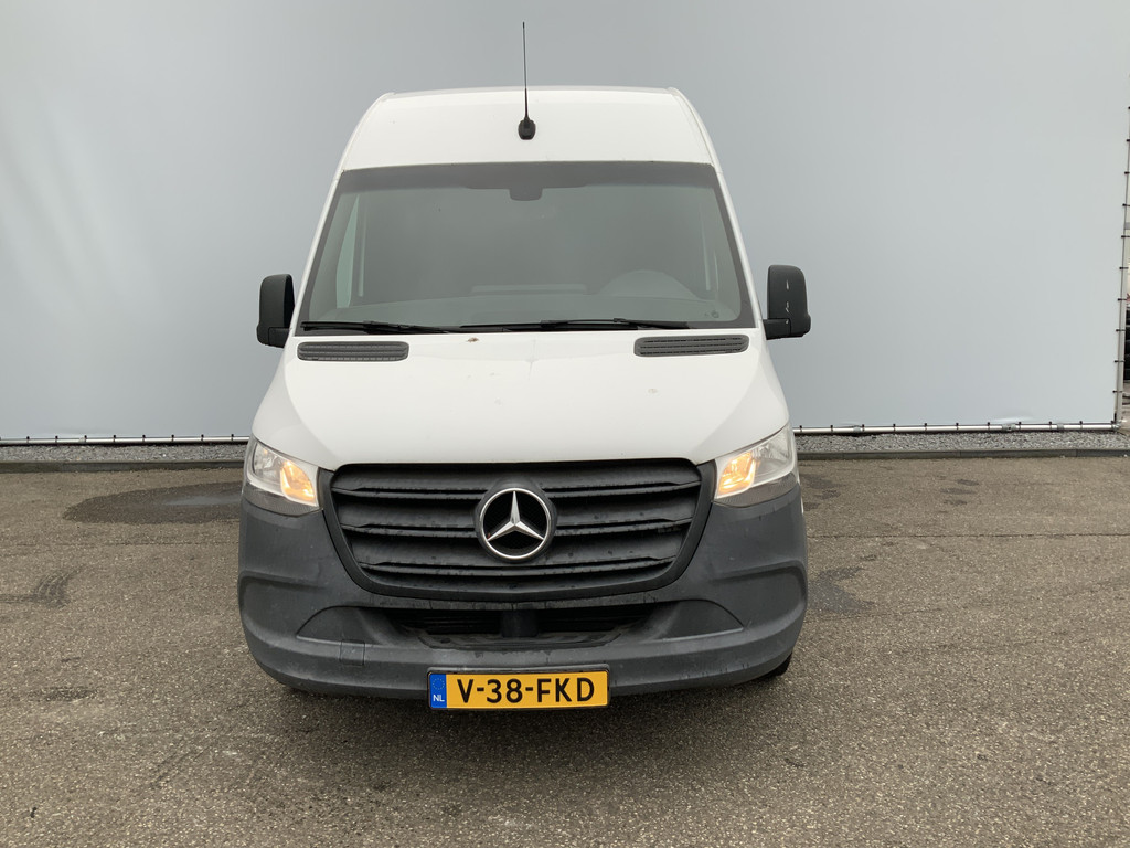 41263233-8.jpg
