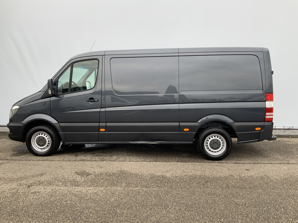41314894-8.jpg
