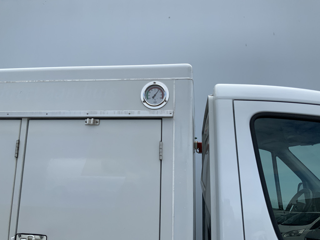 44321024-7.jpg