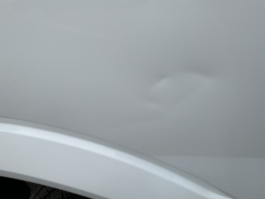 44399115-15.jpg